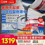 立邦防水涂料屋顶楼顶房顶补漏防水胶补漏王灰色20KG*5 