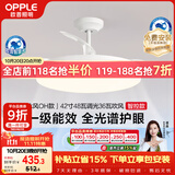 欧普照明（OPPLE）【送装一体】风扇灯42寸全光谱1级能效智控风扇餐厅厨房卧室 冰风