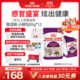 皇家猫湿粮感官盛宴-鲜美多汁(浓汤肉块)软包罐头STGP 85g*12进口