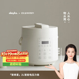 olayks立时电压力锅 高压锅家用多功能高压电饭煲快煮智能迷你婴儿辅食锅 2L适用1-2人