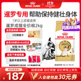 皇家猫粮 暹罗成猫粮 SM38 通用粮 12月以上 2KG