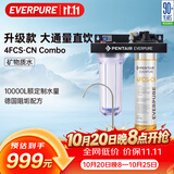 爱惠浦（Everpure）家用厨下直饮 长寿命滤芯 大流量0废水 4升/分钟 10000L额定净水量净水器4FCS-CN  