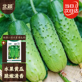 北蔬水果黄瓜种子苗青瓜盆栽秋冬菜籽 卓脆潍胖二号水果黄瓜种子100粒