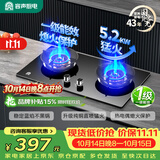 容声燃气灶天然气煤气灶双灶家用直喷猛火5.2KW嵌入式台式灶具一级能效天然气大火力RLB10T