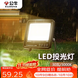 公牛（BULL）LED投光灯户外路灯庭院灯工地灯露营灯 IP65防水30W-3000K黄光