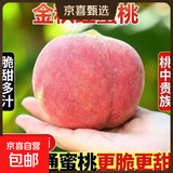 山东蒙蜜桃金秋红蜜脆甜桃子新鲜水果当季水果爆汁应季整箱批发 带箱5斤净重4.5斤（大果）