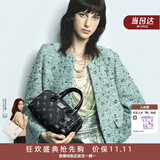 纽芝兰（NUCELLE）飞马波士顿包包2026新款轻奢小众手提斜挎女士包包生日礼物送女生