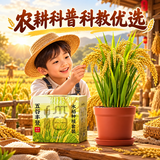 IAM City Farmer水稻儿童种植小盆栽绿植幼儿园植物diy观察开学季中秋节礼物10192