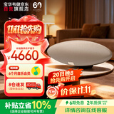 宝华韦健Zeppelin Pro【价保双11】齐柏林飞艇6代无线HIFI有源蓝牙音箱B&W桌面音响送礼物 晨曦金