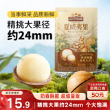 三只松鼠量贩装夏威夷果250g/袋 儿童每日坚果炒货休闲零食团购送礼