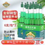 德沃多发财树专用植物营养液12支*35ML盆栽养花肥料水培有机叶面肥