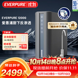 爱惠浦（Everpure）1200G 家用反渗透厨下直饮净水器 自来水RO过滤 3.1L/min流速 ER2-12