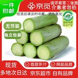 京觅陶山甘蔗 无节精品装 3斤 青皮甘蔗 新鲜甘蔗 源头直发