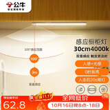 公牛（BULL）感应橱柜灯衣柜灯LED人感光感磁吸 卧室床沿玄关小夜灯30CM4000K