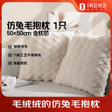 蓝铂 仿兔毛抱枕客厅沙发毛绒床头靠枕 50*50cm(枕套+枕芯)
