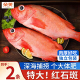 朵芙 海参斑鱼 多规格 红鱼净重 红石斑鱼大眼鱼富贵鱼深海鱼生鲜鱼类 特大红鱼4-4.2斤（共2条）