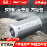 雷登X10蓝牙音箱音响2.0声道 高音质户外大功率低音炮小型随身有源防水迷你便携式2026最新款骑行音响 X10灰色10W四核2.0独立双声道+超低音切换 标配四核+超长续航【双喇叭+双振膜】快至今/