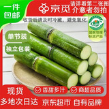 京觅陶山甘蔗 单节精品装 3斤 青皮甘蔗 新鲜甘蔗 源头直发