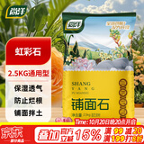 尚洋虹彩石2.5kg 多肉土颗粒铺面石美观园艺无土栽培基质植物种植基质