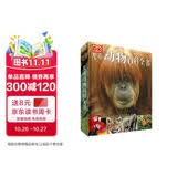 DK儿童动物百科全书 精装正版第3版 动物世界大全 小学生科普百科书籍 6-12岁野生动物图文科普 儿童自然启蒙读物高清实拍写真