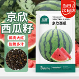 北蔬 京欣西瓜种子种苗大红瓤薄皮超脆甜盆栽瓜籽 京欣西瓜种子约50粒