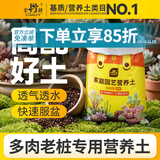 史丹利多肉老桩型专用营养土2.5kg 颗粒土泥炭土肉肉植物种植叶插土壤