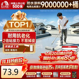 雨虹防水屋顶防水补漏材料 耐高温防晒 补漏裂缝渗水防水胶10斤