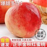 京喜加山东沂蒙山蒙阴黄桃蜜桃时令桃子脆甜多汁当季采摘锦绣黄桃水果 脆甜多汁【大果】 【好吃油桃】3-6粒精品果