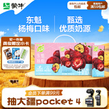 蒙牛真果粒牛奶饮品东魁杨梅味含乳饮料250g×12盒 卡皮巴拉礼盒