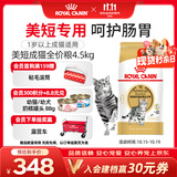 皇家猫粮 美短成猫粮 ASA31 通用粮 12月以上 4.5KG