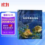 丝带绣艺术家：当丝带遇见毛毡