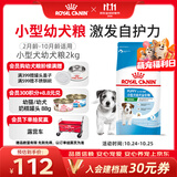 皇家狗粮 幼犬狗粮 宠物 小型犬 MIJ31 全价犬粮 2-10月 2KG