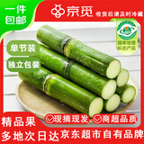 京觅陶山甘蔗 单节精品装 3斤 青皮甘蔗 新鲜甘蔗 源头直发