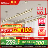 金贵夫人阳台晾衣架手摇升降三杆晾衣杆手动室内伸缩晒衣架家用晾晒神器凉 香槟金 2.4m 圆杆三杆 【高硬度碳钢】