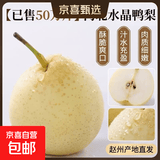 【已售50万斤】河北水晶鸭梨赵州鸭梨产地直发单果160g起 【2粒装】【尝鲜小果】