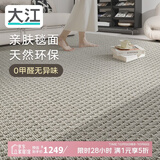 大江进口羊毛地毯客厅现代简约素色轻奢高级感沙发地毯200x300cm