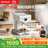 柏翠咖啡机意式浓缩家用小型办公室58mm全半自动蒸汽打奶泡海盐小方pro二代 PE3833Pro