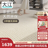 大江进口羊毛地毯客厅现代简约素色轻奢高级感沙发地毯200x300cm