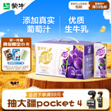 蒙牛真果粒葡萄味牛奶饮品250g*12盒  新老包装 送礼礼盒
