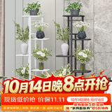 蜗家花架客厅落地多层置物架室内阳台绿萝多肉植物摆放花盆架深灰