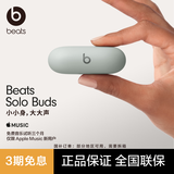beats Solo Buds 真无线蓝牙耳机 入耳式 兼容苹果安卓系统 风云灰