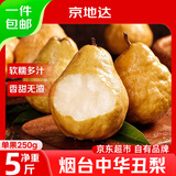 京地达山东烟台丑梨净重5斤单果250g+中华啤梨冰淇淋蜜梨子京东自营水果