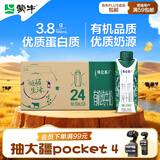 蒙牛特仑苏有机纯牛奶250ml*24盒 3.8g蛋白 家庭囤货
