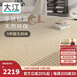 大江进口羊毛地毯客厅现代简约素色轻奢高级感沙发地毯240x340cm
