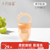 十月结晶咬咬乐 水果咬咬袋 宝宝安抚牙胶棒果蔬辅食器 可推进式随机发货
