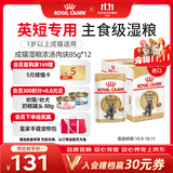 皇家猫粮 英短成猫湿粮 软包猫罐头BSP 12月以上 浓汤肉块 85G*12进口