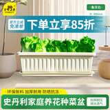 史丹利阳台种菜盆专用家用花盆长方形塑料蔬果盆栽象牙白【长490mm】
