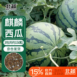 北蔬 西瓜种子种苗冰糖麒麟8424盆栽西瓜籽 冰糖麒麟瓜种子约150粒