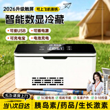 恩柏盛胰岛素冷藏盒充电车载小冰箱带电池药品恒温箱大容量随身携带700