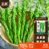 北蔬 螺丝椒种子种苗皱皮特辣辣椒四季蔬菜种籽 北蔬螺丝椒种子100粒
